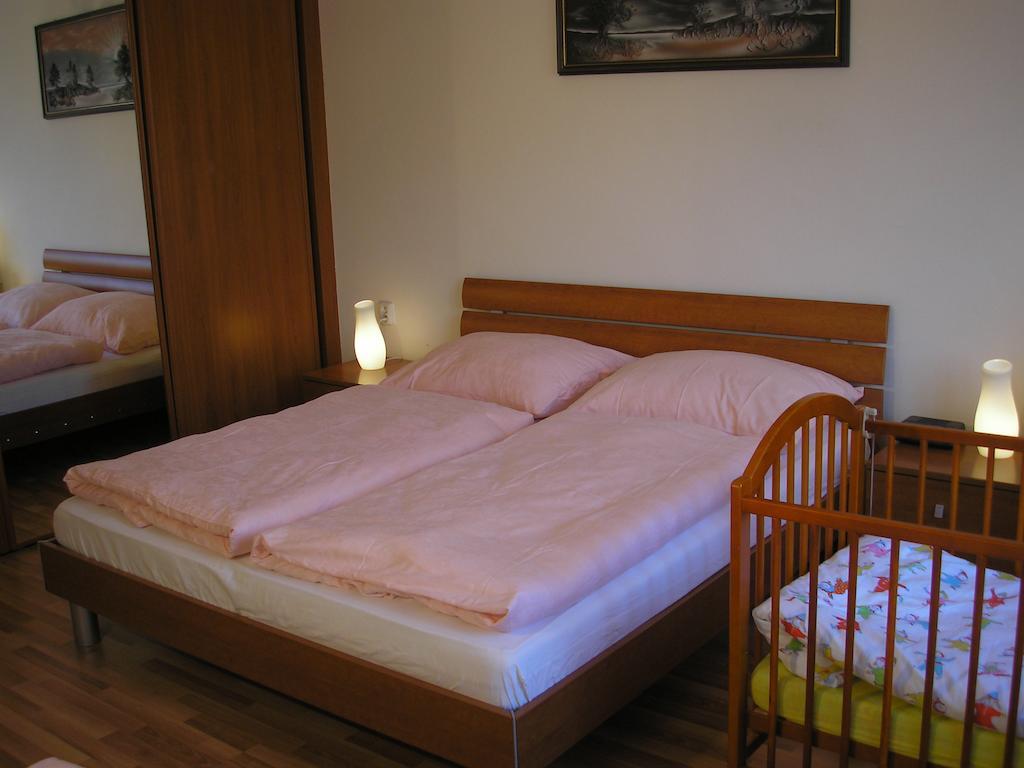 Apartment Accommodation Up To 17 Bratysława Zewnętrze zdjęcie